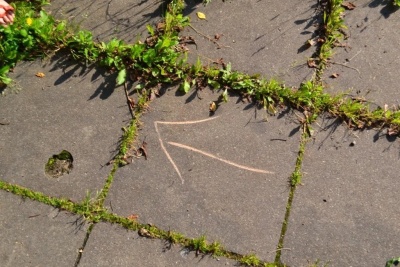 sDDbEAy5U7M.jpg sDDbEAy5U7M.jpg