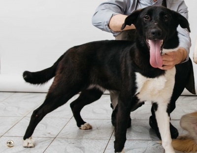 yFj7Pa62og.jpg yFj7Pa62og.jpg