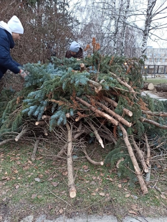 BgvqKGIBoi.jpg BgvqKGIBoi.jpg