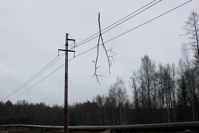 80089067_IMG_0490.jpg 80089067_IMG_0490.jpg