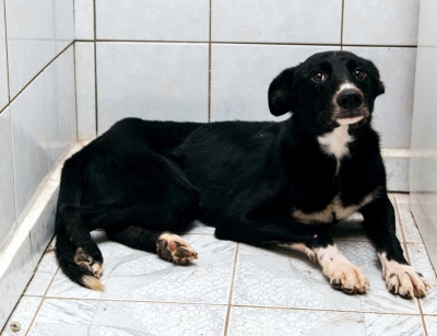 2tHQJ29t1Zg.jpg 2tHQJ29t1Zg.jpg