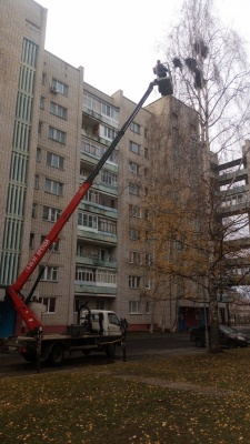 DSC_1145.jpg DSC_1145.jpg