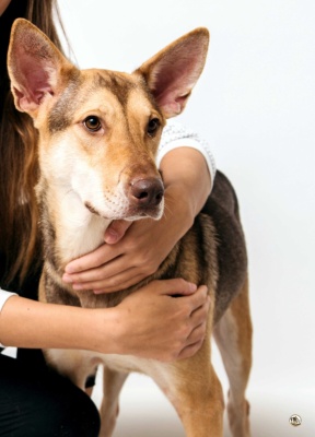 dlofVsQVxHw.jpg dlofVsQVxHw.jpg