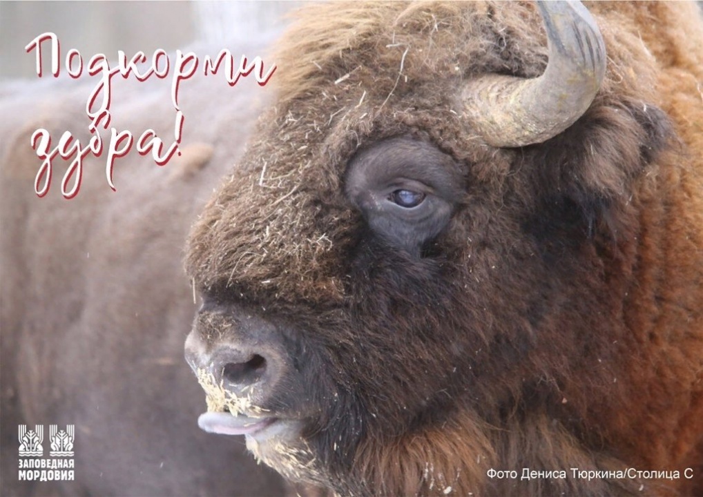 4kARufp1OT.jpg 4kARufp1OT.jpg