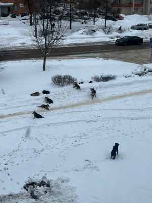 uXGSH2nHOG.jpg uXGSH2nHOG.jpg