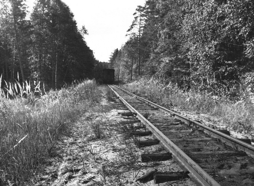 pOtJ812si4.jpg pOtJ812si4.jpg