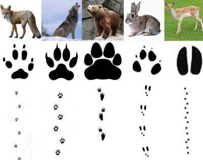 ZGPwCox4hqU.jpg ZGPwCox4hqU.jpg