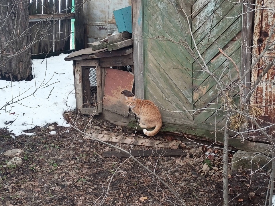 QFg3dyFaOz.jpg QFg3dyFaOz.jpg