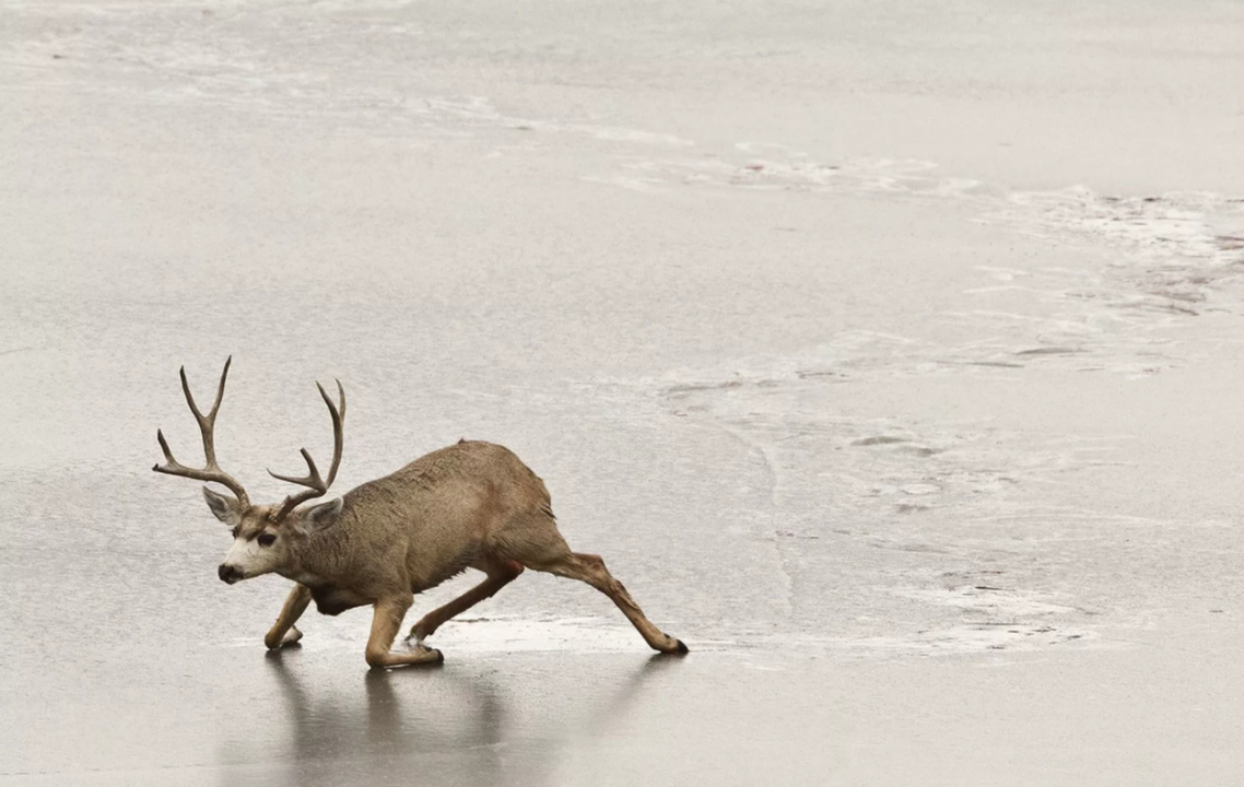 1_загруженное.png 1_загруженное.png