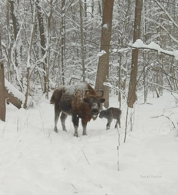 YtqCS6pS0m.jpg YtqCS6pS0m.jpg