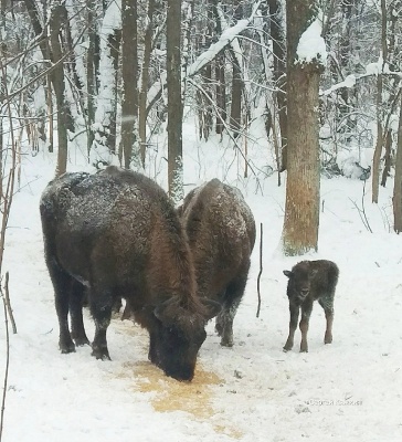 fL6xXjMzxB.jpg fL6xXjMzxB.jpg