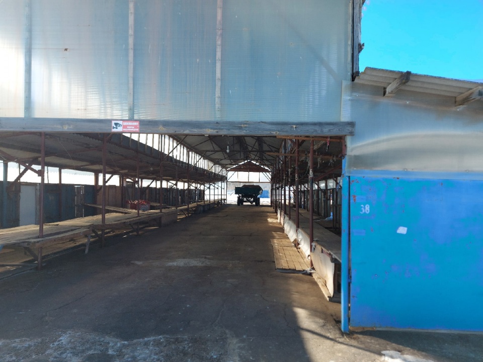 M_sQqX1L9MY.jpg M_sQqX1L9MY.jpg