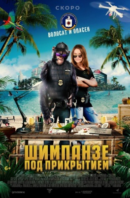 p_5b876ab.jpg p_5b876ab.jpg