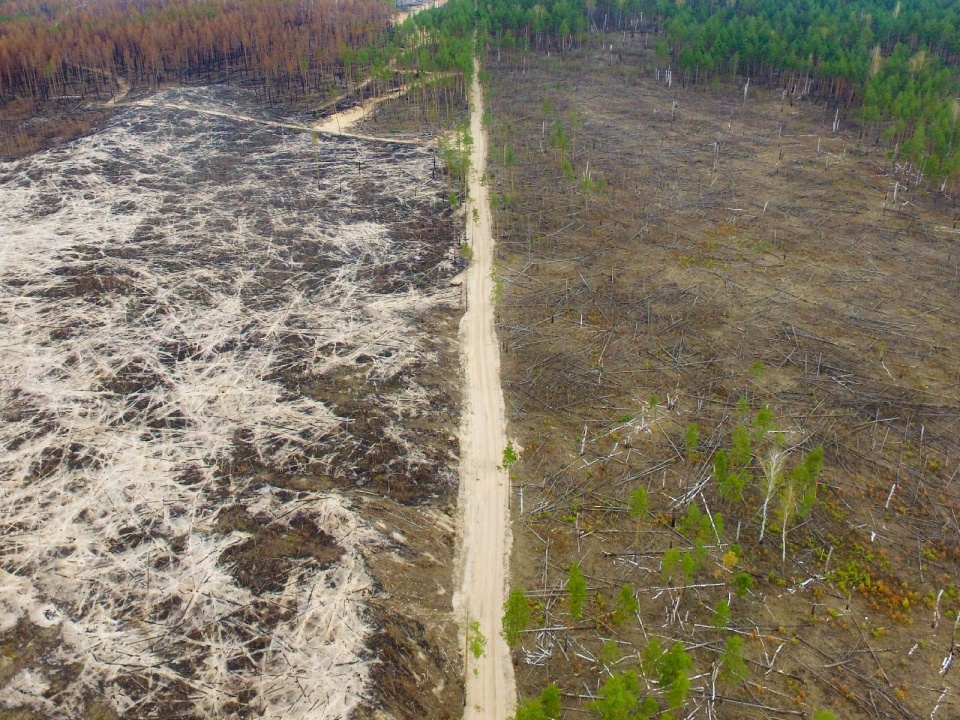 xH0lRcq9Up.jpg xH0lRcq9Up.jpg