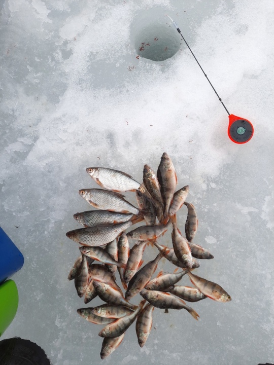 O7Dnot89T8APqxwI5K3RCDaIEGFLMKPGb_Prz0hQkXhOPk7ssRp1dPx4whmFPL4eZx8pH7ci7_aIj_K3KI9M7Q7s.jpg O7Dnot89T8APqxwI5K3RCDaIEGFLMKPGb_Prz0hQkXhOPk7ssRp1dPx4whmFPL4eZx8pH7ci7_aIj_K3KI9M7Q7s.jpg