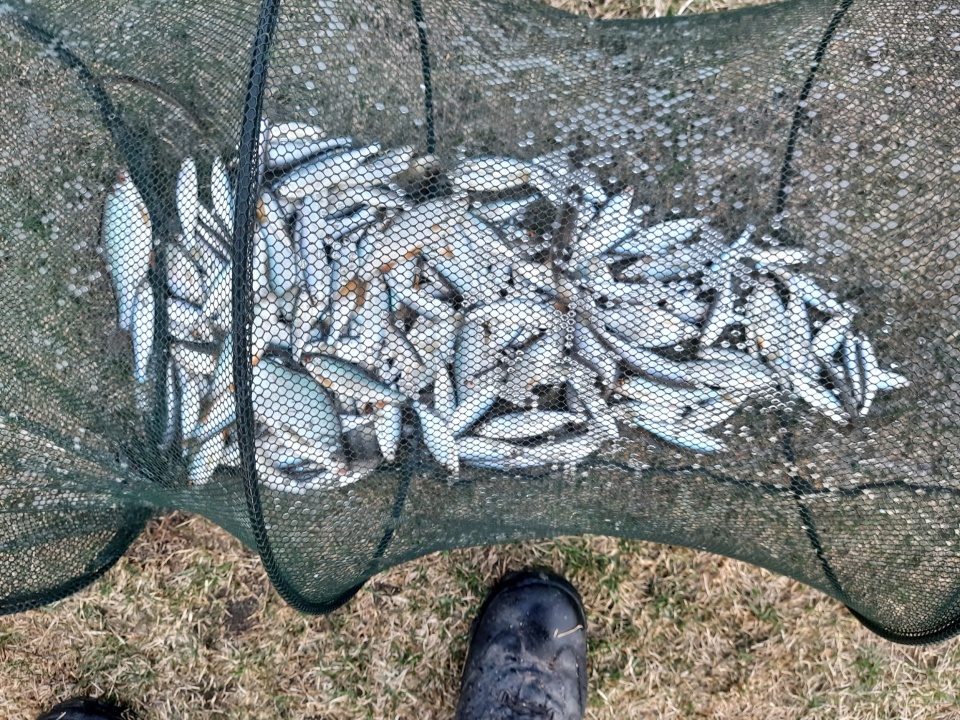 ZNzTWmlgbNEjRmBQCAdl-XovBn8m9qYjbIkAm7Zf-NA6-4zzN_blrxSPk_zv2ILE0QXWuOLsQWxCxNZcEMAYer1h.jpg ZNzTWmlgbNEjRmBQCAdl-XovBn8m9qYjbIkAm7Zf-NA6-4zzN_blrxSPk_zv2ILE0QXWuOLsQWxCxNZcEMAYer1h.jpg