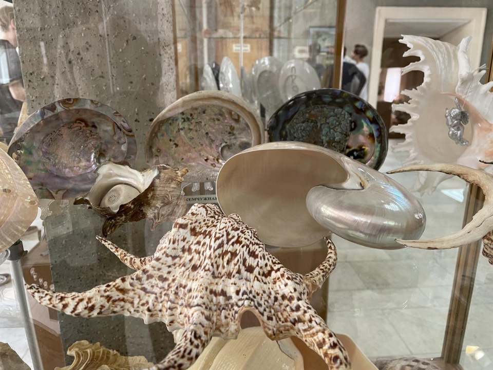 op6SILLsECV9Nn5Xp0_o8fiQgOolTrmvxXeOwzrkqbZlLKMuPvpsvYmDHZR69sBb2DmSs9ZihxkeJAJhI4xvXAWw.jpg op6SILLsECV9Nn5Xp0_o8fiQgOolTrmvxXeOwzrkqbZlLKMuPvpsvYmDHZR69sBb2DmSs9ZihxkeJAJhI4xvXAWw.jpg