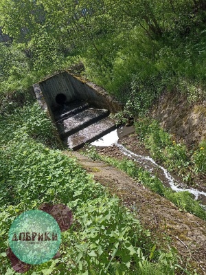 Crh4Xb7fsW.jpg Crh4Xb7fsW.jpg