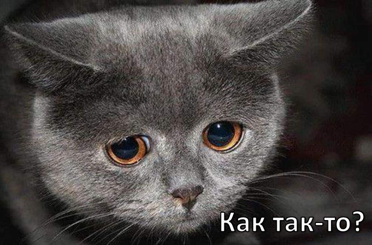 EHcs2gwoiG.png EHcs2gwoiG.png