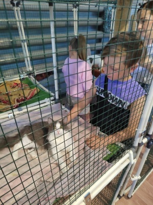 VoxIOeXpInI.jpg VoxIOeXpInI.jpg