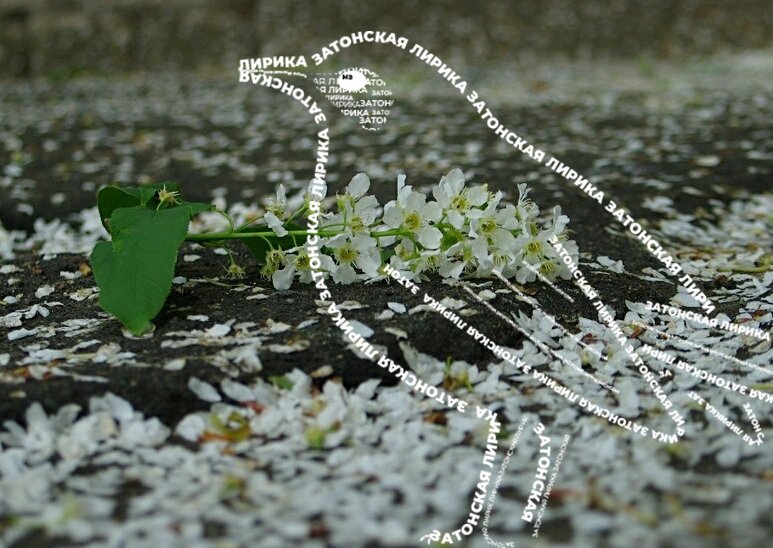 EbyL4Re8Di.jpg EbyL4Re8Di.jpg