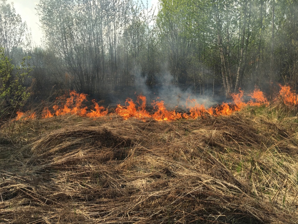 VkPYaBFGsCIWFRga-lZN9d9ER4nn24CuLifQgra4GWE3s4ROUFEYfz2ERoT8aYEoCtotqOL60May3qvh_gF11Js9.jpg VkPYaBFGsCIWFRga-lZN9d9ER4nn24CuLifQgra4GWE3s4ROUFEYfz2ERoT8aYEoCtotqOL60May3qvh_gF11Js9.jpg