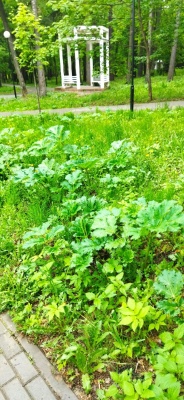 2I-6QRejFdaqcQOYlN8nSnuxobAmGfZzy6fLaDcCb_5zbILDoAPGPCWLhKKC3RGmqVujtOfhhMwXt0r1D_ErwA3s.jpg 2I-6QRejFdaqcQOYlN8nSnuxobAmGfZzy6fLaDcCb_5zbILDoAPGPCWLhKKC3RGmqVujtOfhhMwXt0r1D_ErwA3s.jpg