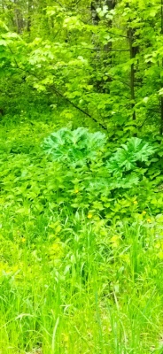 CF7IggMo1x5tTyWXiNvA4uiilKUDJKHGDtqWnI-iELBQDz72AuXUKOdQXbEEbitQCjmqYu1briuXCRML3gTCMc8o.jpg CF7IggMo1x5tTyWXiNvA4uiilKUDJKHGDtqWnI-iELBQDz72AuXUKOdQXbEEbitQCjmqYu1briuXCRML3gTCMc8o.jpg