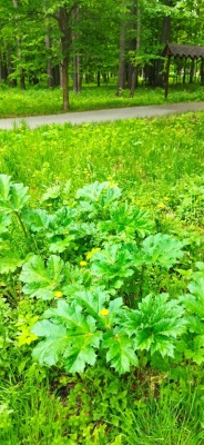 omyWs5bHLT_JRPgPDIgQtwm07bgIre9VpX4OcYy4jlEbdhrDzAerpLkNDeNOJBOoHiduPLeN9VP5ghXkm2nshpln.jpg omyWs5bHLT_JRPgPDIgQtwm07bgIre9VpX4OcYy4jlEbdhrDzAerpLkNDeNOJBOoHiduPLeN9VP5ghXkm2nshpln.jpg