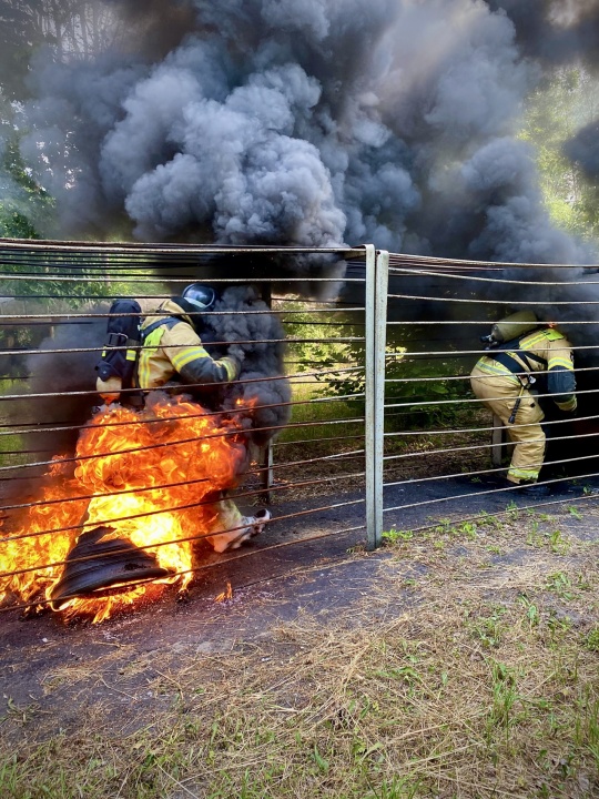 IMG_1011.jpg IMG_1011.jpg