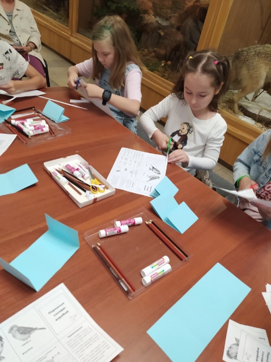 STjTaoxMgSY.jpg STjTaoxMgSY.jpg