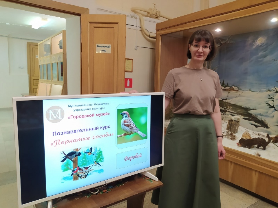 bFgCCfh3qmA.jpg bFgCCfh3qmA.jpg