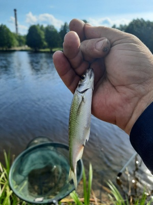 aDb5KoPsPHs.jpg aDb5KoPsPHs.jpg