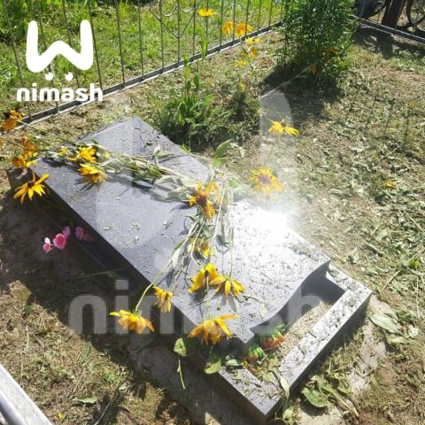 Ng-ntq2oQTQ.jpg Ng-ntq2oQTQ.jpg