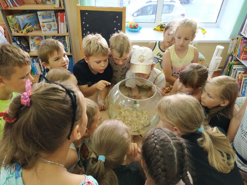 2AGAE-1f6jU.jpg 2AGAE-1f6jU.jpg