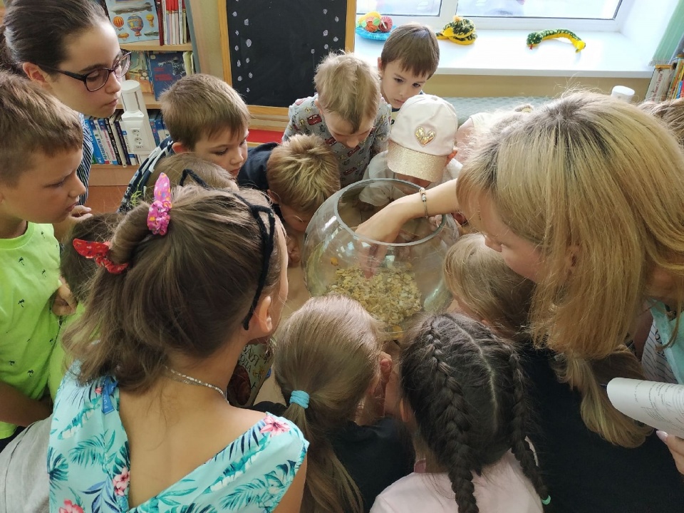 6lQ3eqL3XLk.jpg 6lQ3eqL3XLk.jpg