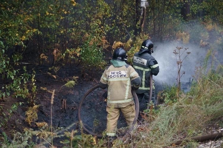 8eUGPoeGFUY.jpg 8eUGPoeGFUY.jpg