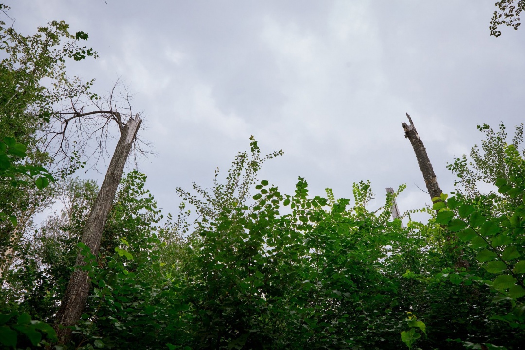 xFwH5kHWPX.jpg xFwH5kHWPX.jpg