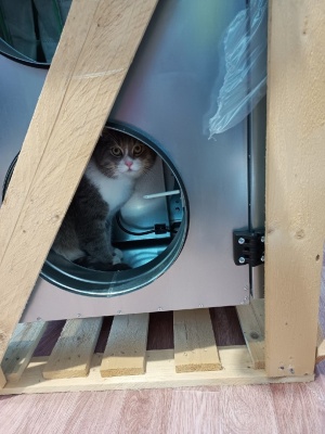 mWFgSW1aVuI.jpg mWFgSW1aVuI.jpg