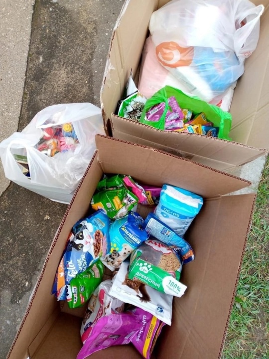 ZedL4E5QDw4.jpg ZedL4E5QDw4.jpg