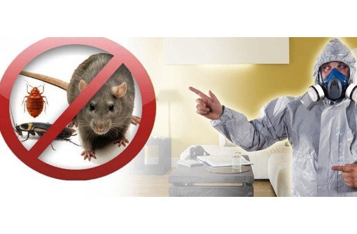 4nx_EUplSmE.jpg 4nx_EUplSmE.jpg