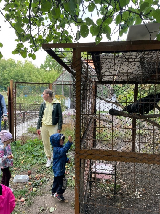 FGD4LamzHJs.jpg FGD4LamzHJs.jpg