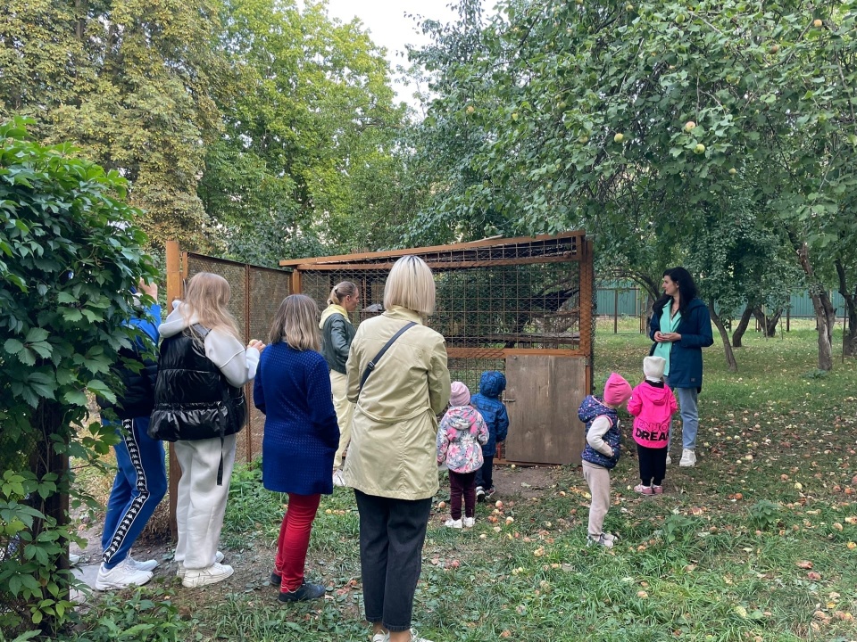 PZ4IhYGAzpY.jpg PZ4IhYGAzpY.jpg