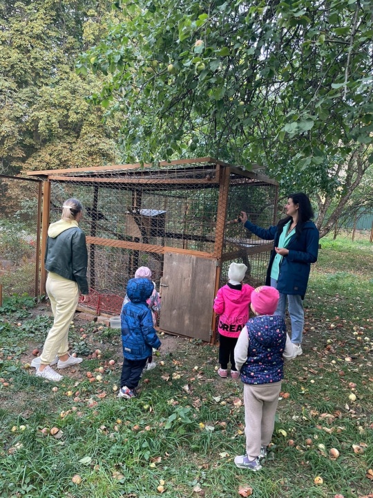 pAouFvnhzlo.jpg pAouFvnhzlo.jpg