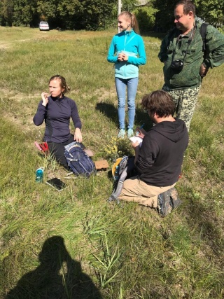 IMG-20190901-WA0003.jpg IMG-20190901-WA0003.jpg