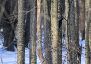 AE-KR25nvbY.jpg AE-KR25nvbY.jpg