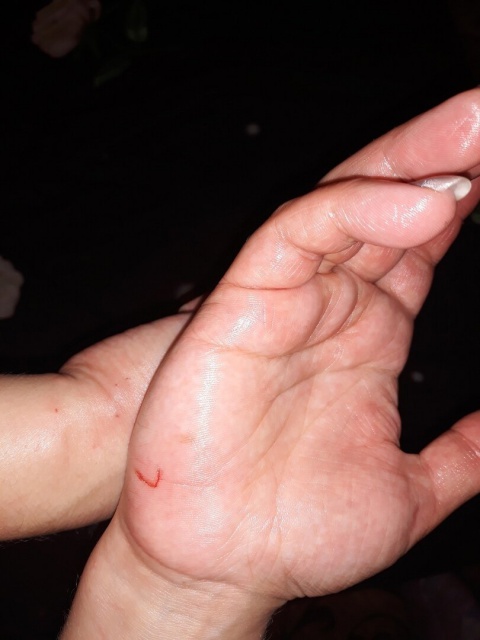 OwMacGNRJCs.jpg OwMacGNRJCs.jpg