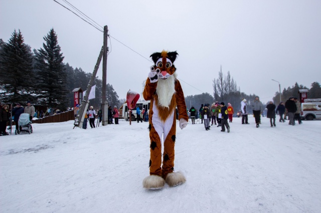 IMG_0018.jpg IMG_0018.jpg