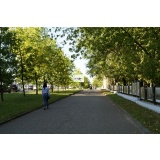 Зелень_1.jpg Зелень_1.jpg