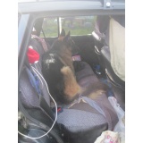 Вольт.jpg Вольт.jpg